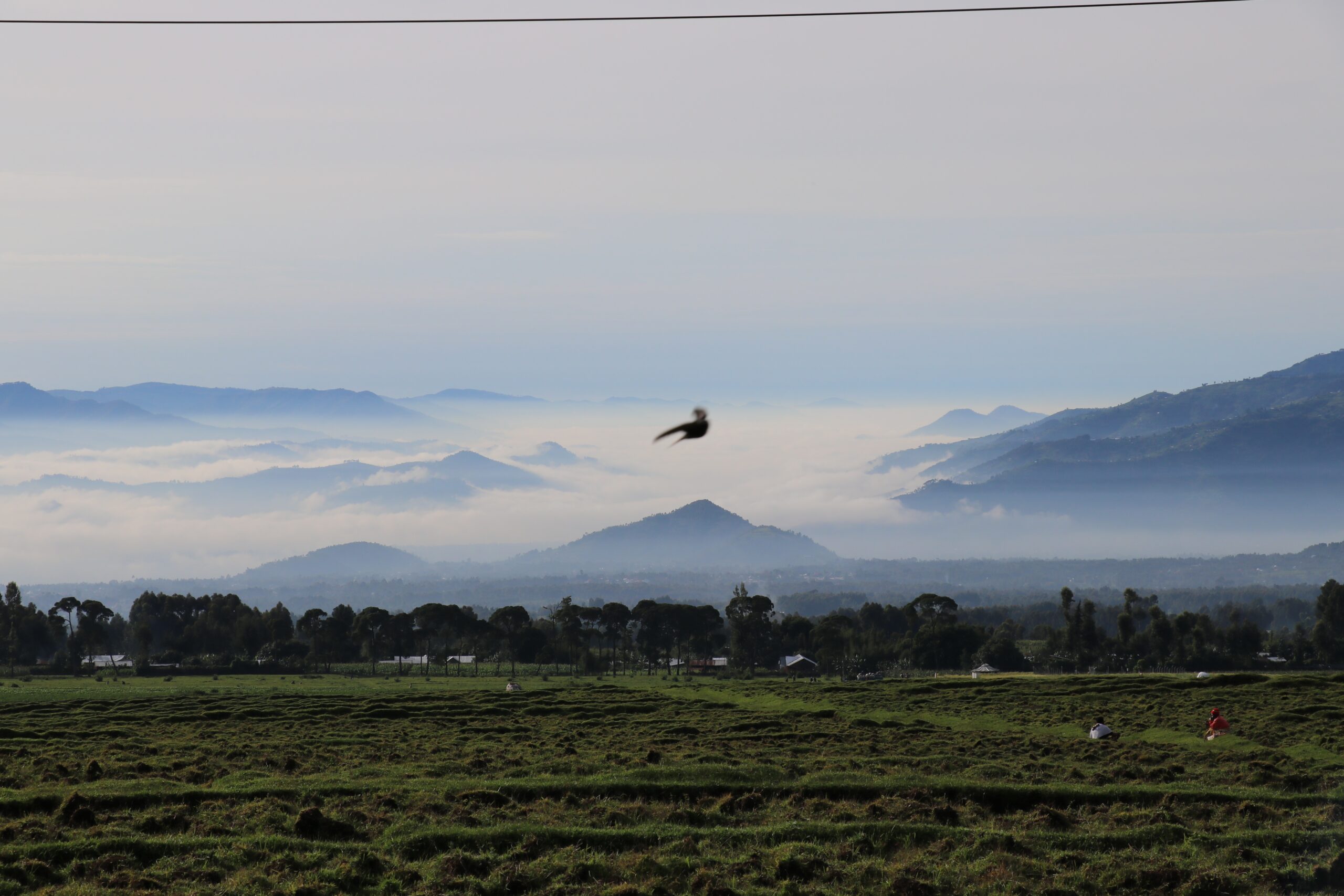 Volcanoes Nationalpark – die Suche nach dem „Gold“