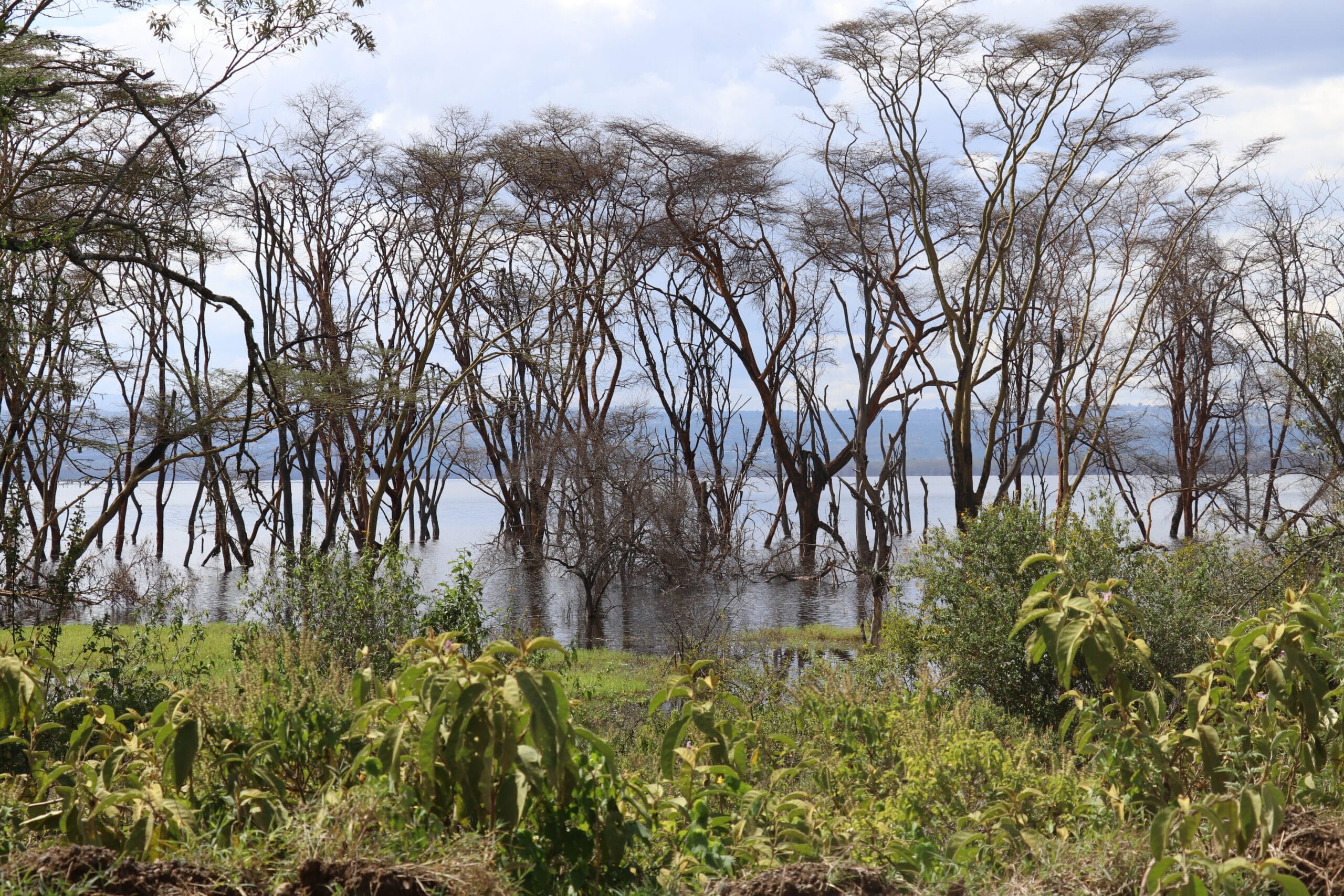 01.01.2021 – Lake Nakuru – Klein, aber fein