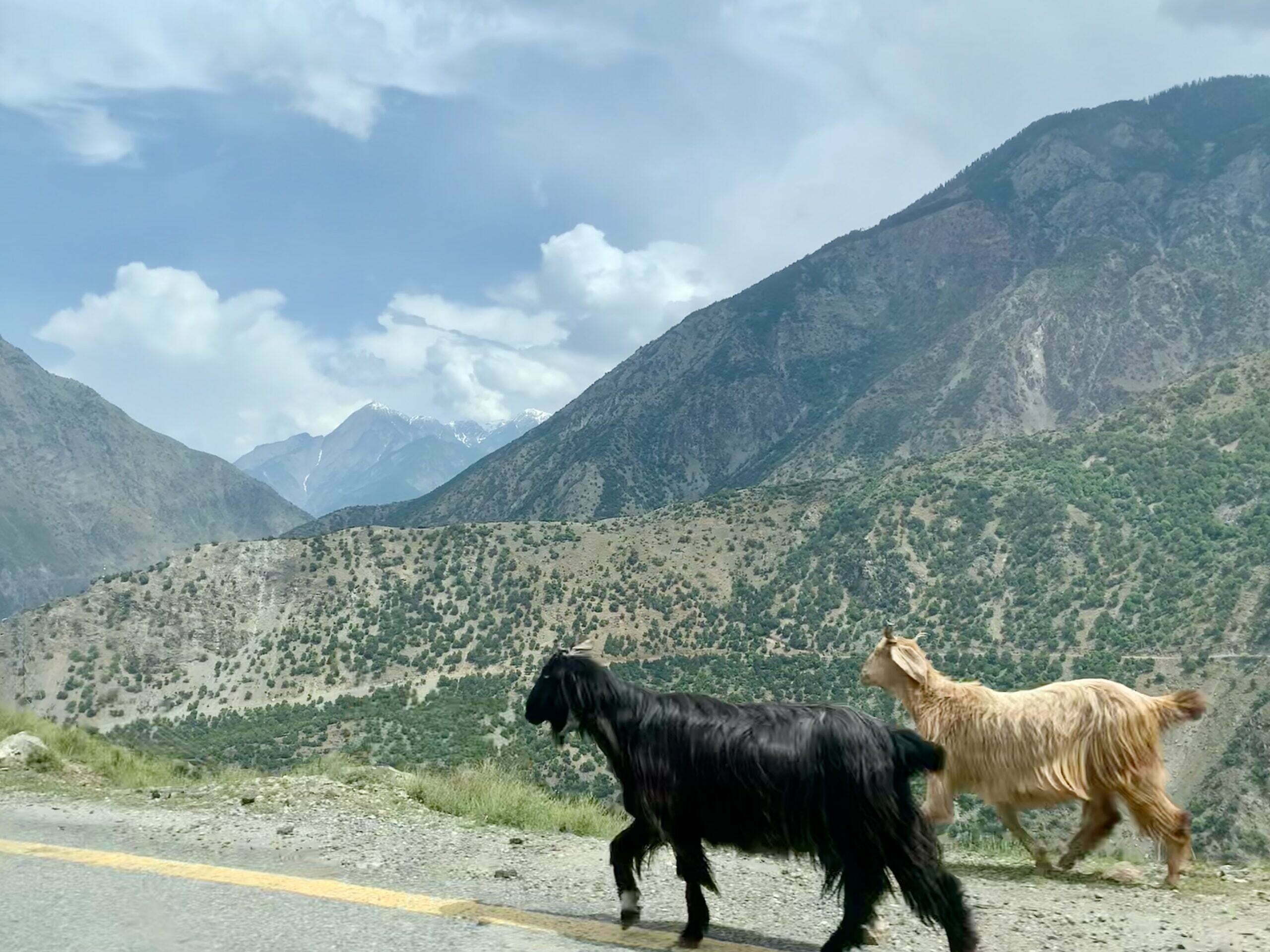 14.04.2022 – Roadtrip auf dem Karakoram Highway